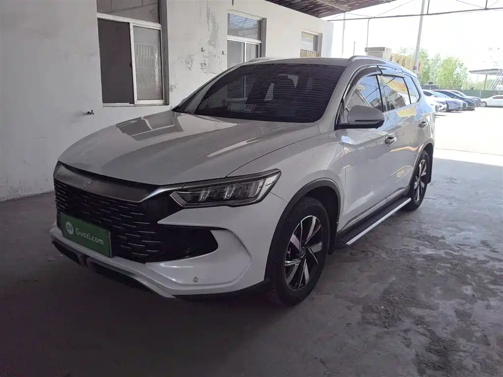 BYD Pro New Energy 2024