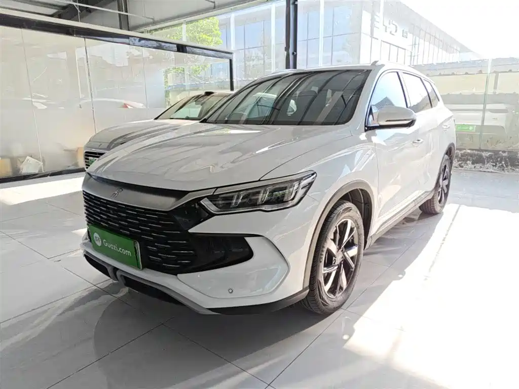 BYD Pro New Energy 2025