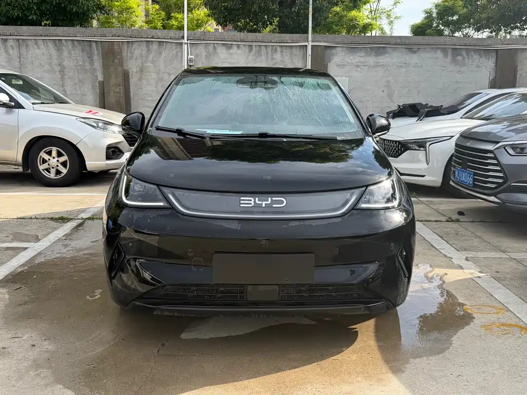 BYD Dolphin 2025
