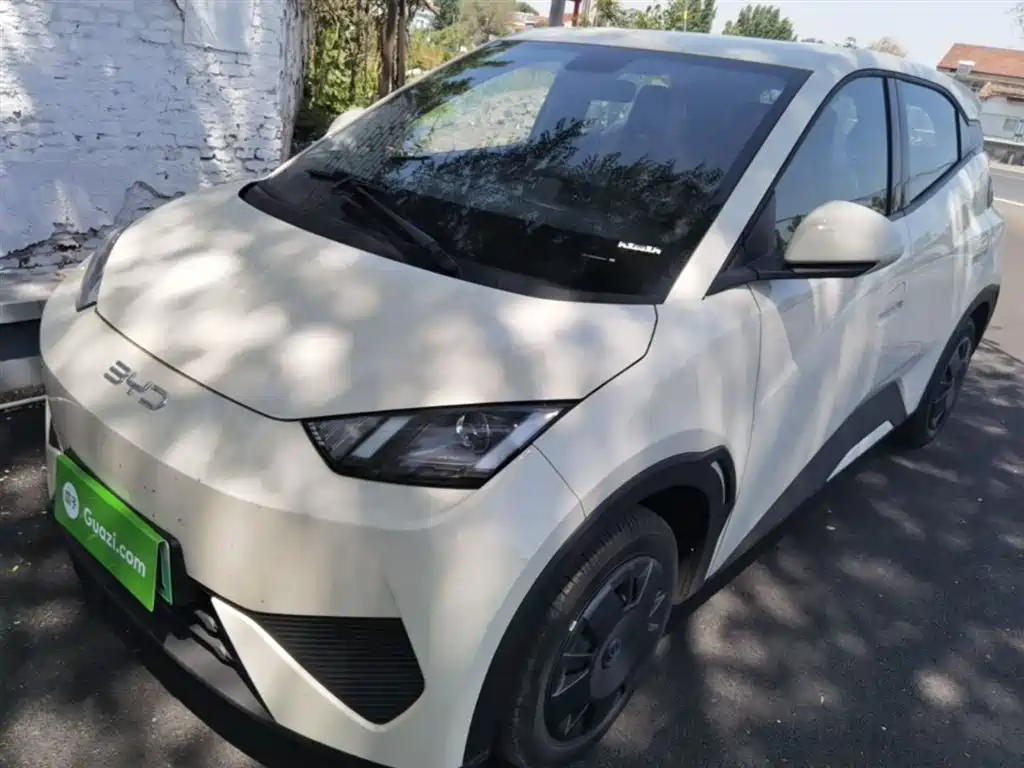 BYD Seagull 2026
