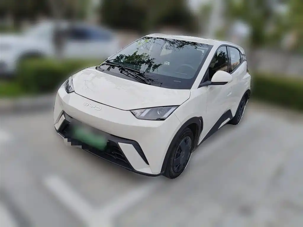 BYD Seagull 2024