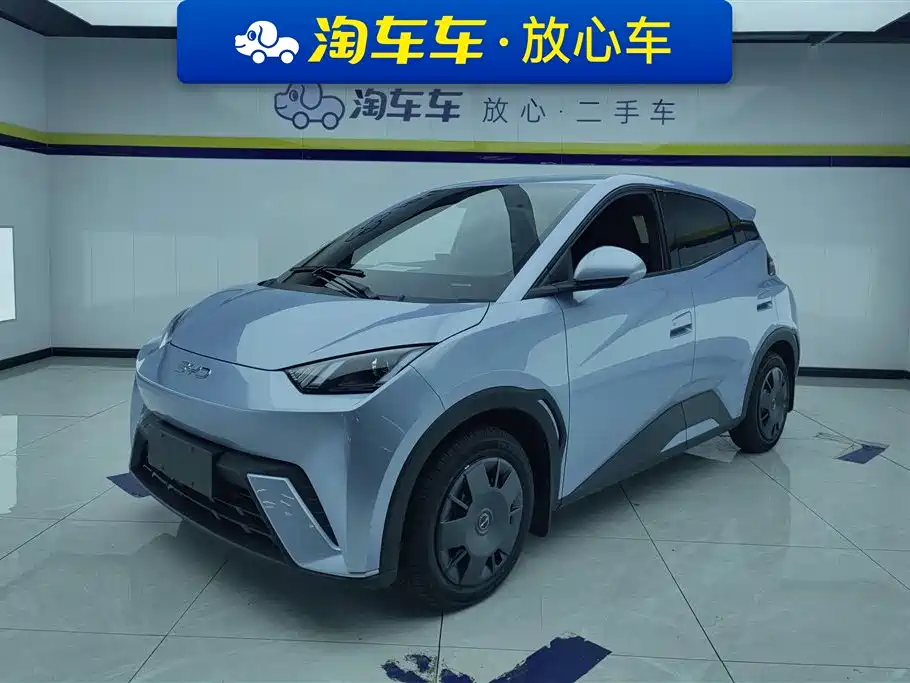BYD Seagull 2024