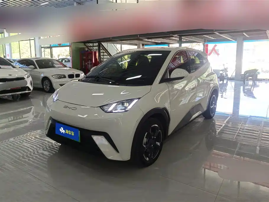 BYD Seagull 2024