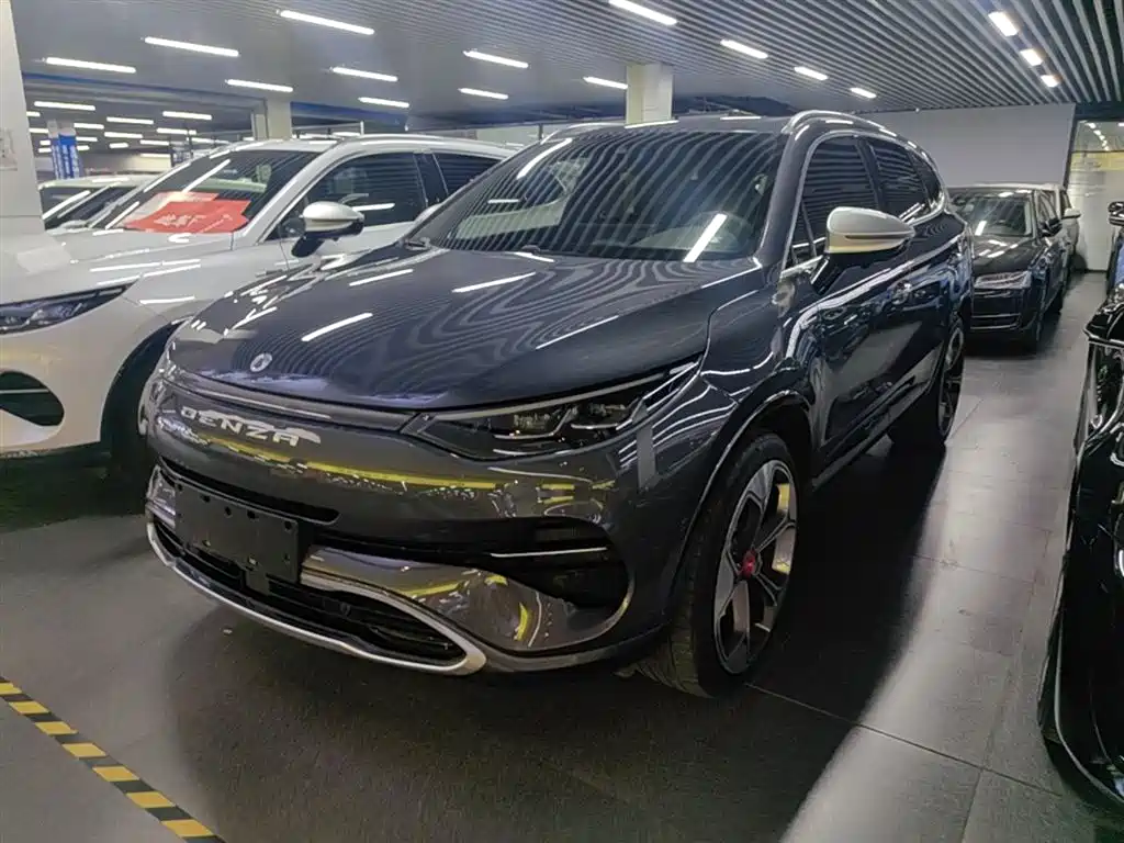 Denza Denza X 2020