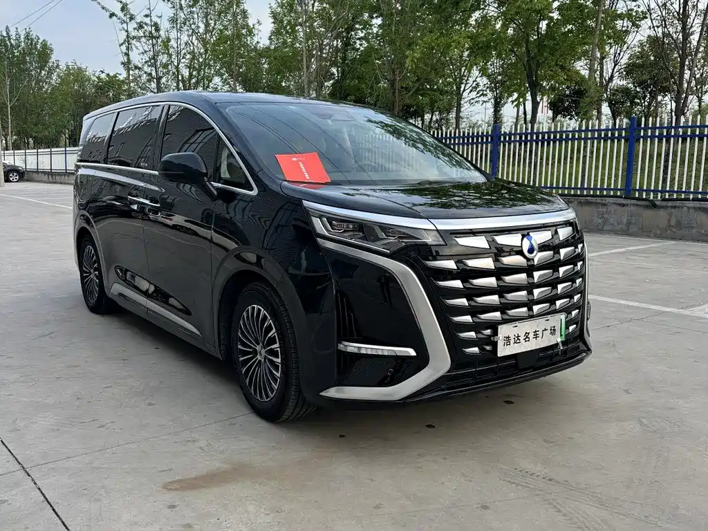 Denza Denza D9 2024
