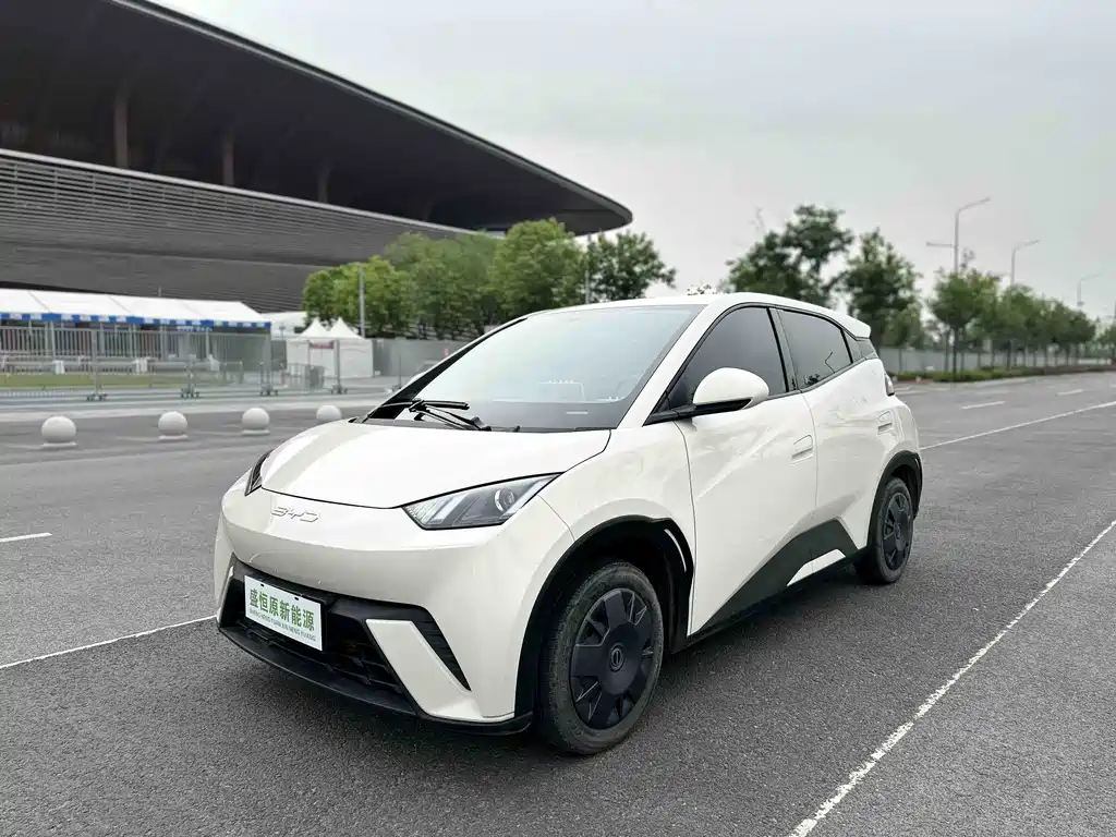 BYD Seagull 2024