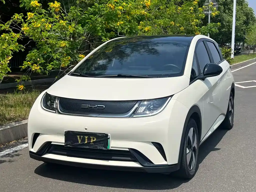 BYD Dolphin 2023