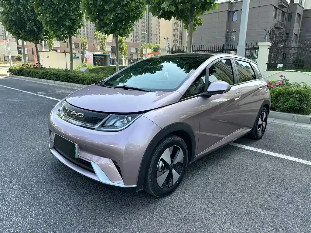 BYD Dolphin 2024