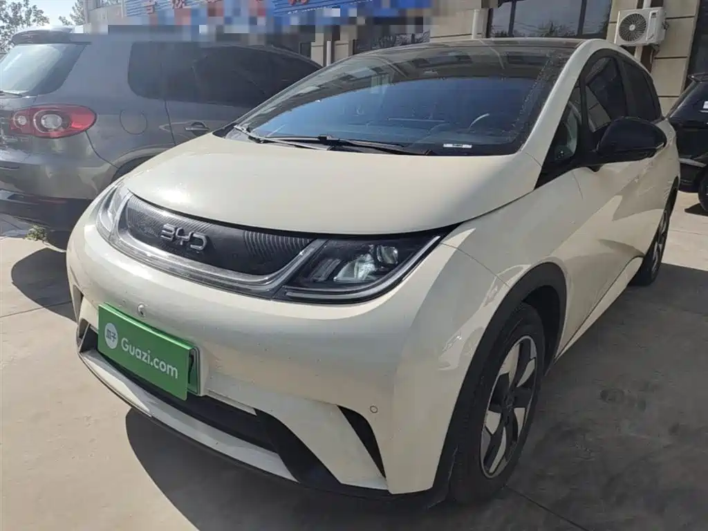 BYD Dolphin 2024