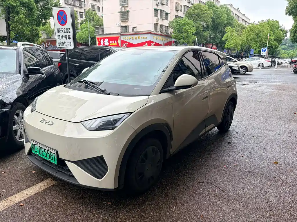 BYD Seagull 2025