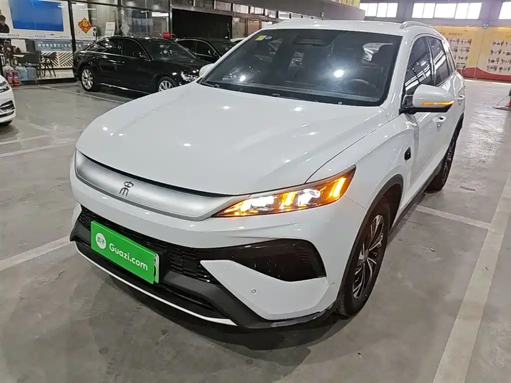 BYD Pro New Energy 2025