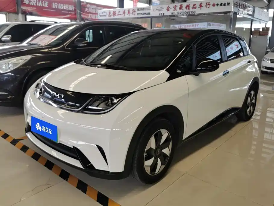 BYD Dolphin 2026