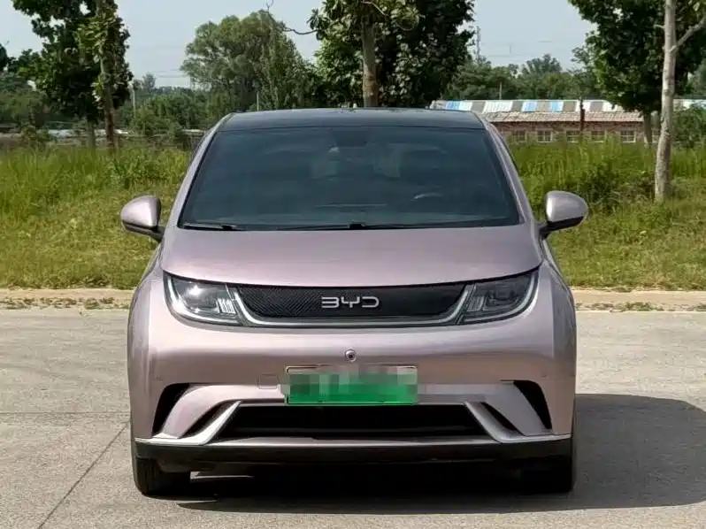 BYD Dolphin 2024