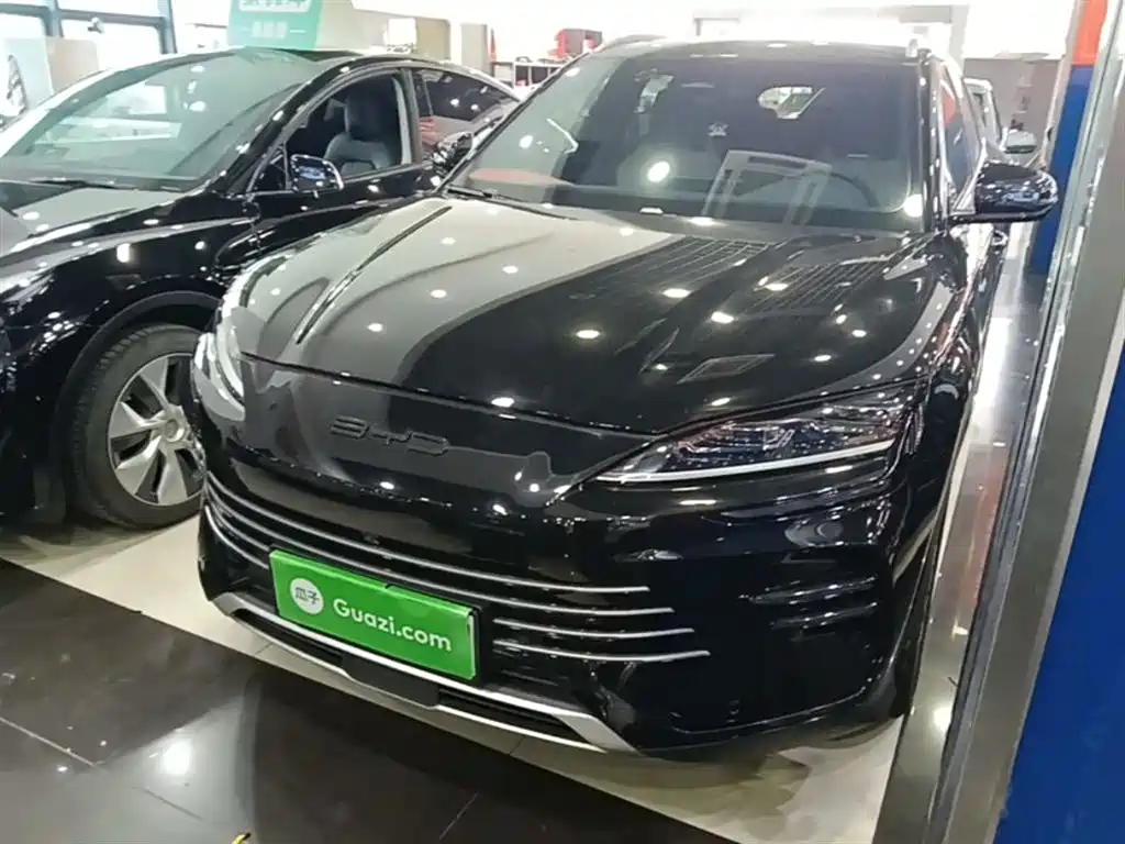 BYD PLUS New Energy 2024