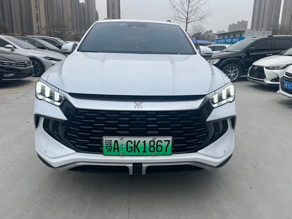 BYD Pro New Energy 2024