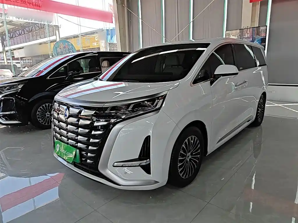Denza Denza D9 2023