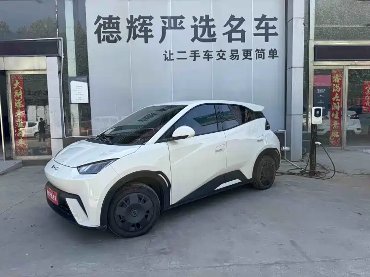 BYD Seagull 2024