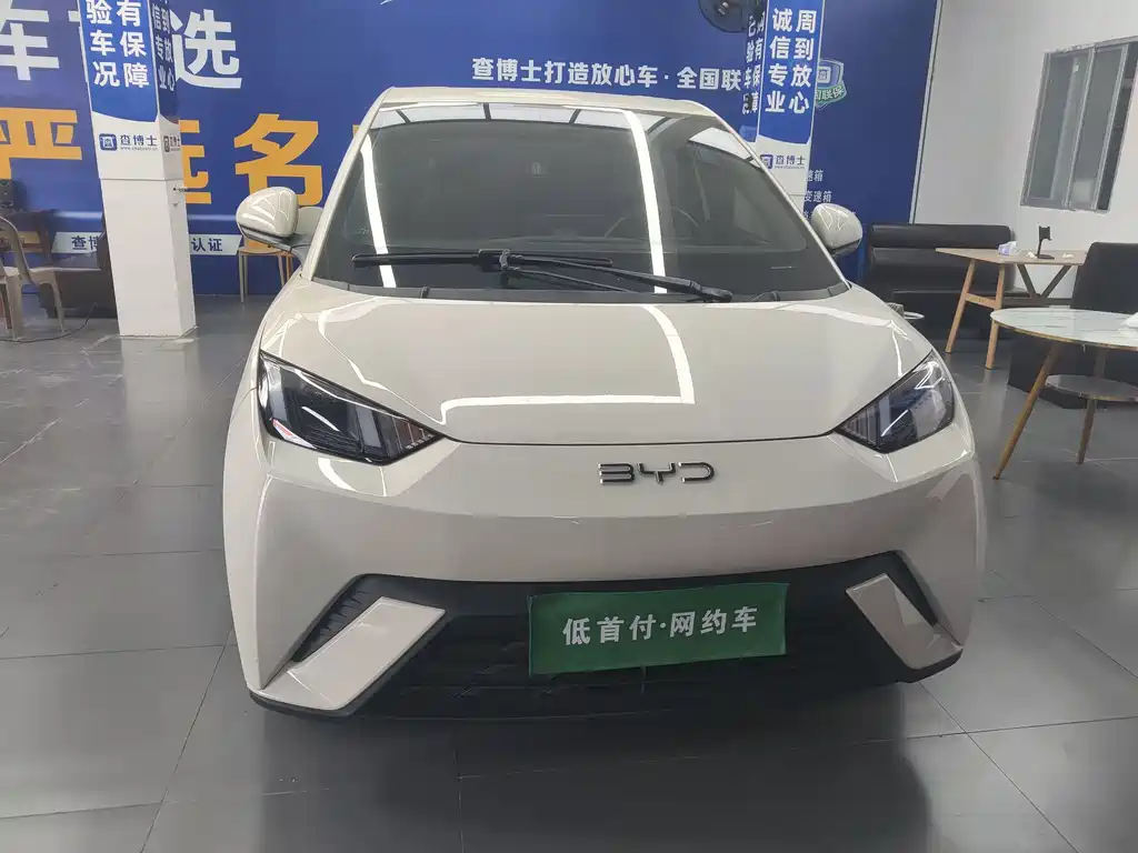 BYD Seagull 2024
