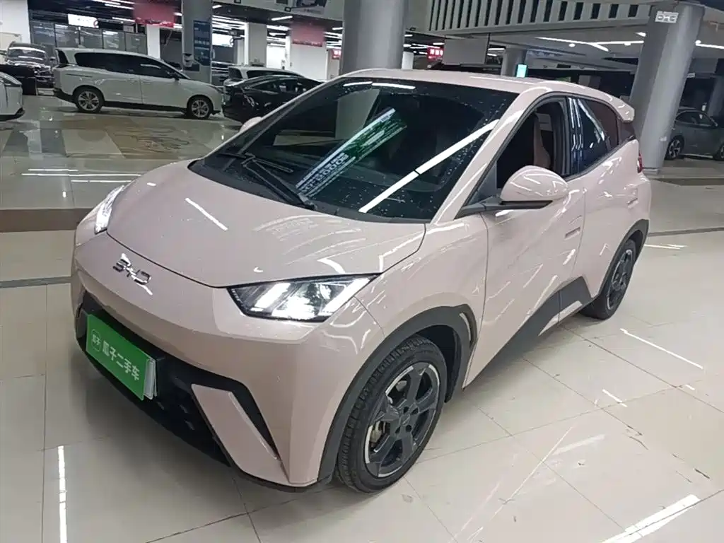 BYD Seagull 2024