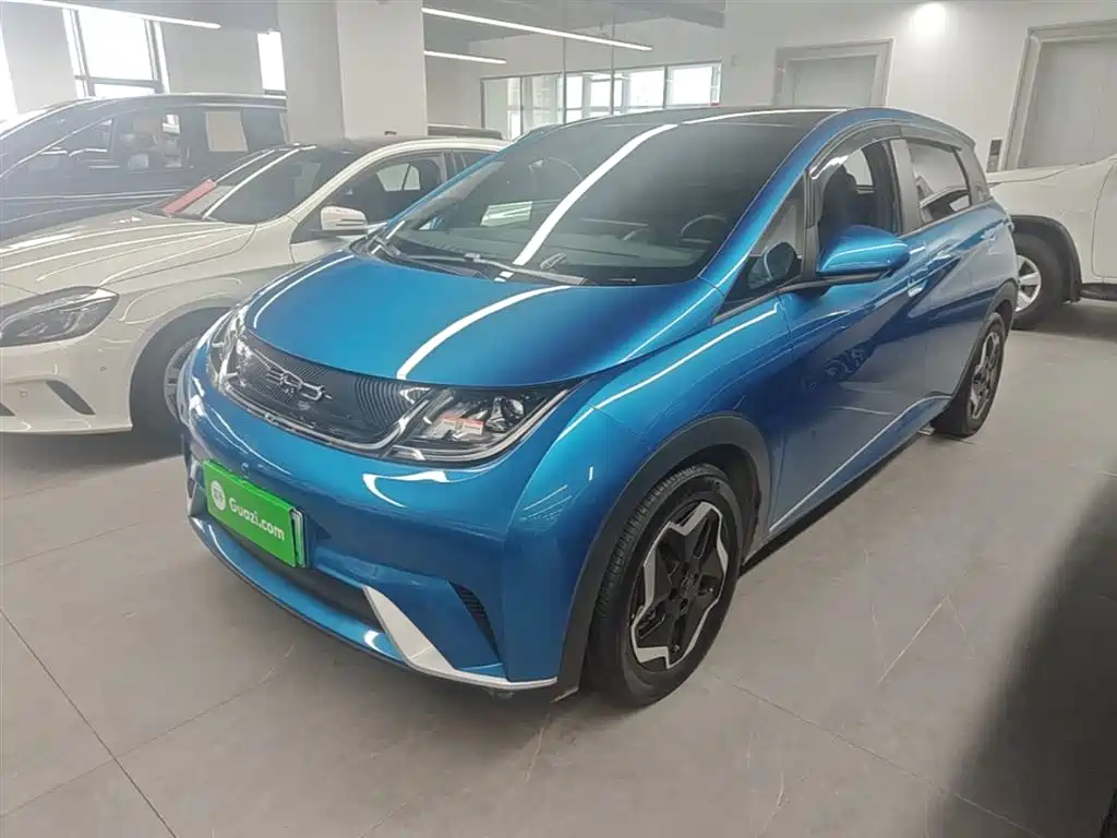 BYD Dolphin 2022