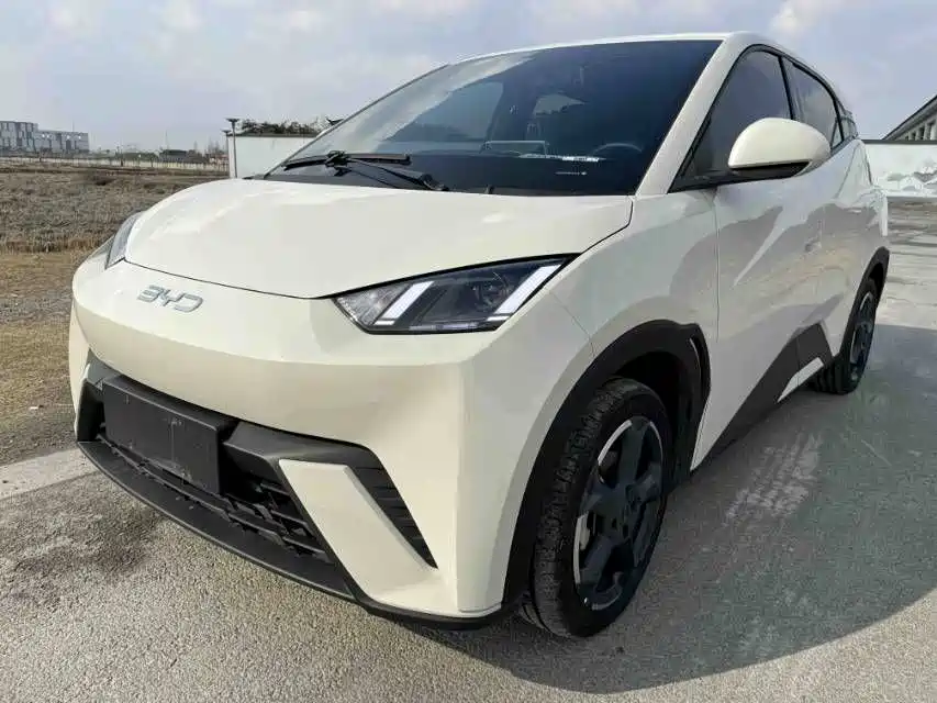 BYD Seagull 2024