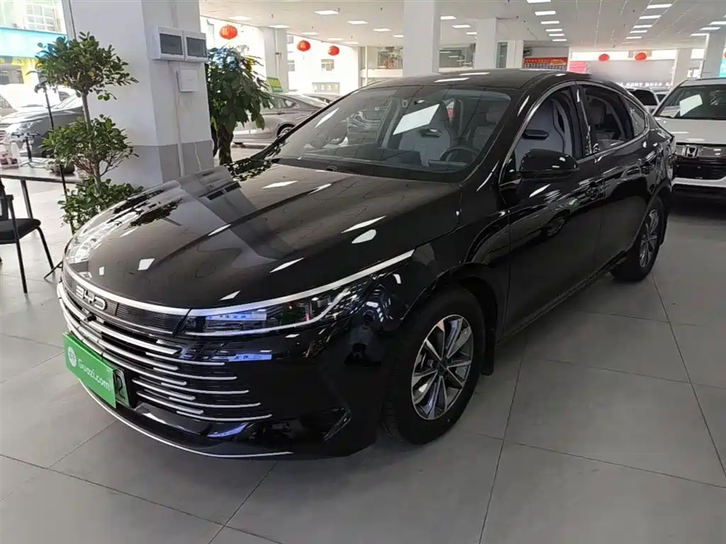 BYD Destroyer 05 2024