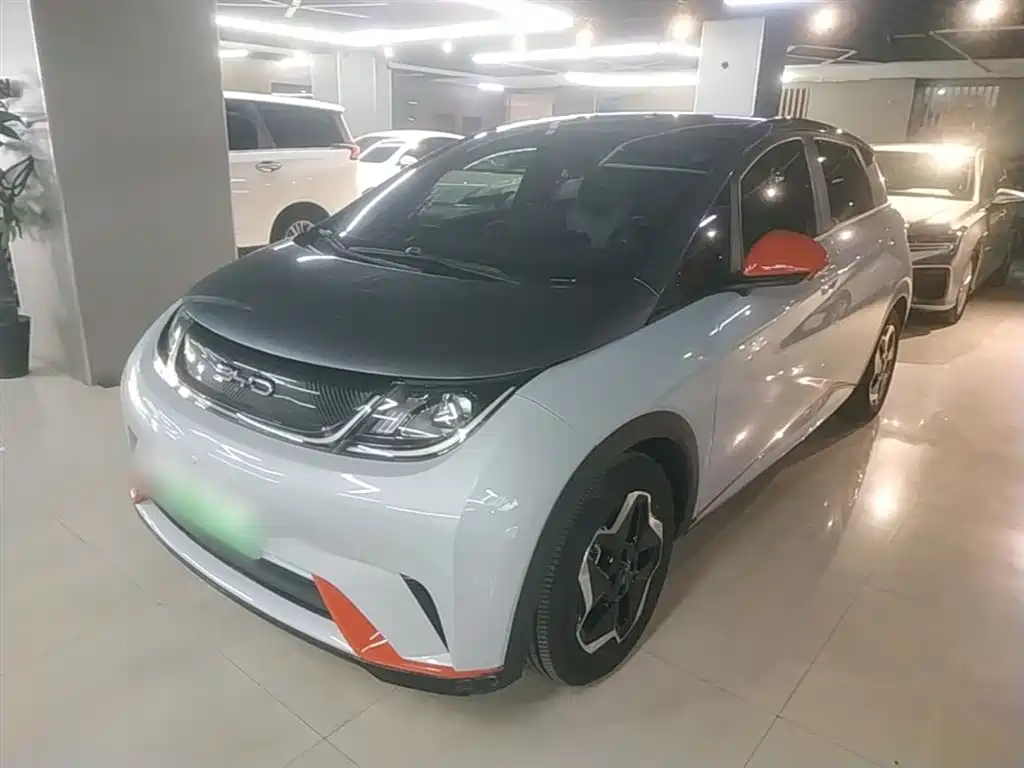 BYD Dolphin 2022