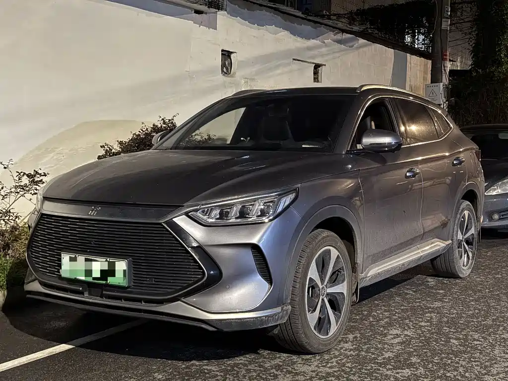 BYD PLUS New Energy 2021