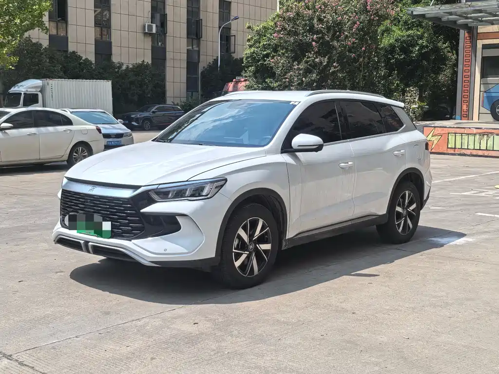 BYD Pro New Energy 2024