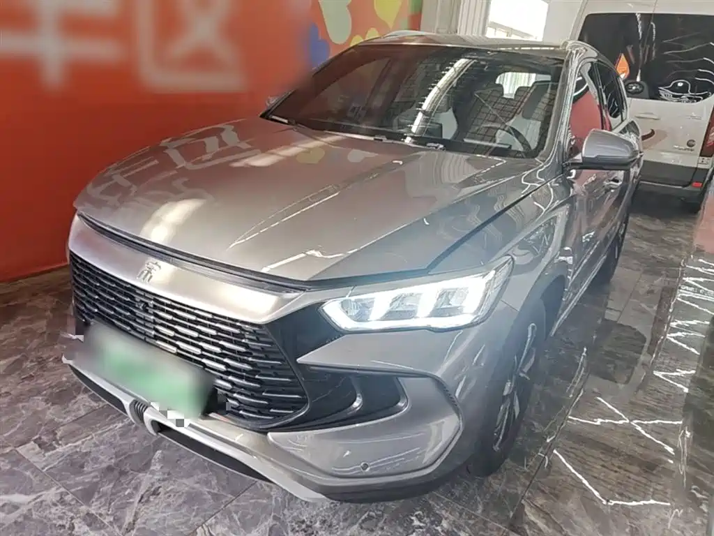 BYD Pro New Energy 2024