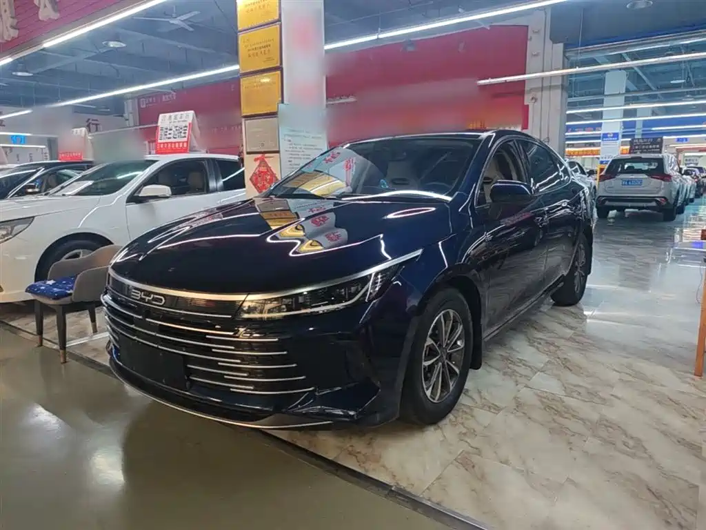 BYD Destroyer 05 2024