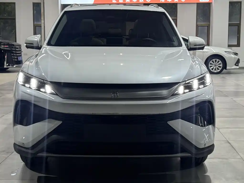 BYD Pro New Energy 2024