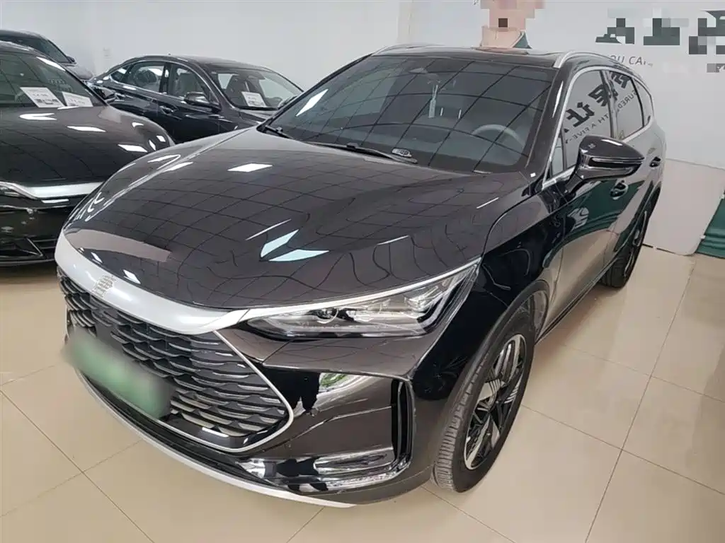 BYD Tang New Energy 2024