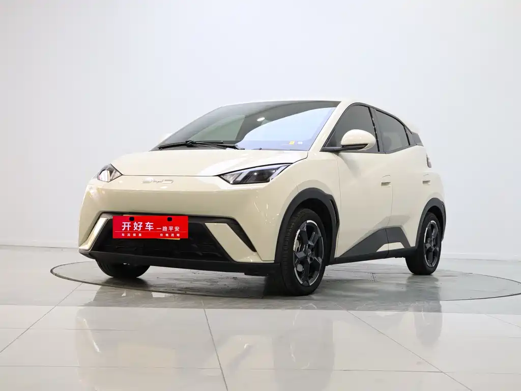 BYD Seagull 2024