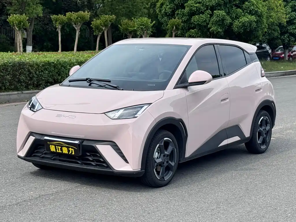 BYD Seagull 2024