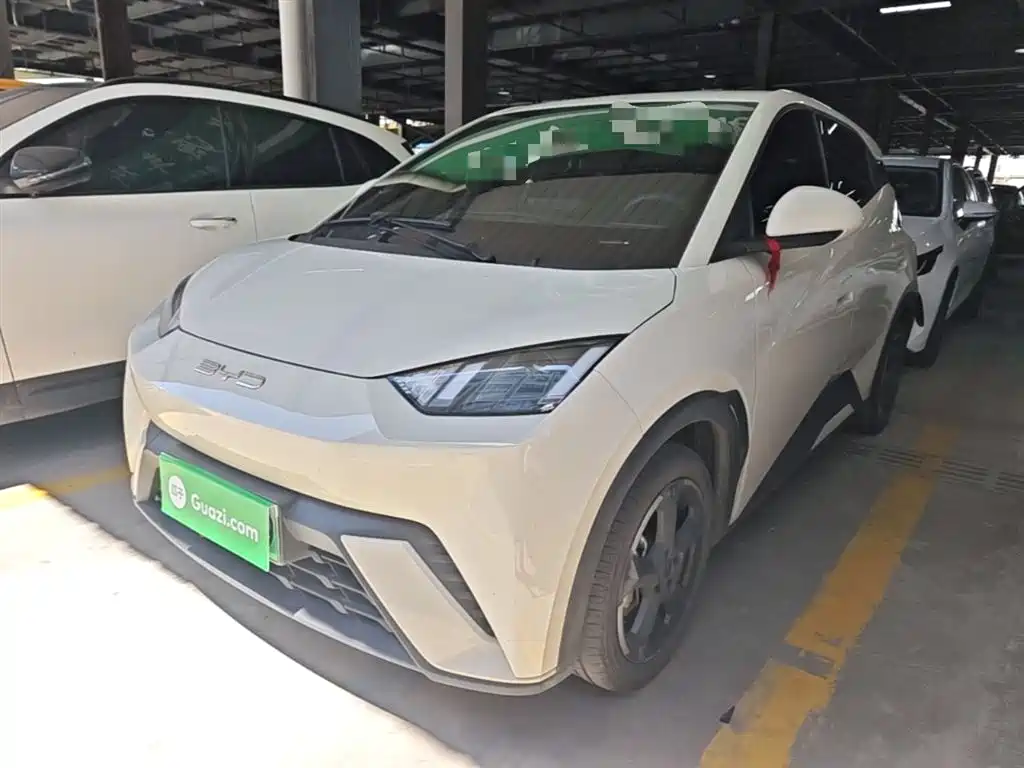 BYD Seagull 2024
