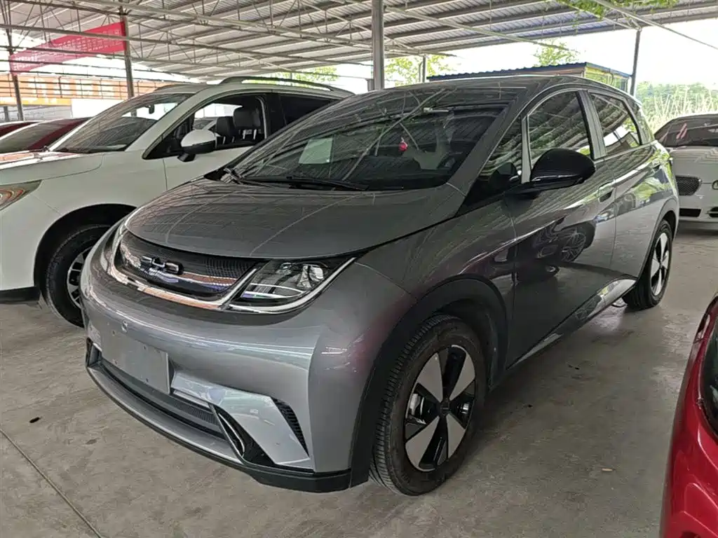 BYD Dolphin 2024