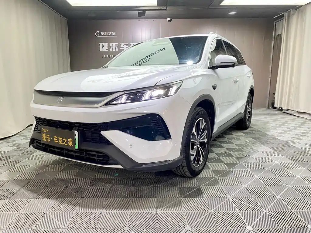 BYD Pro New Energy 2025