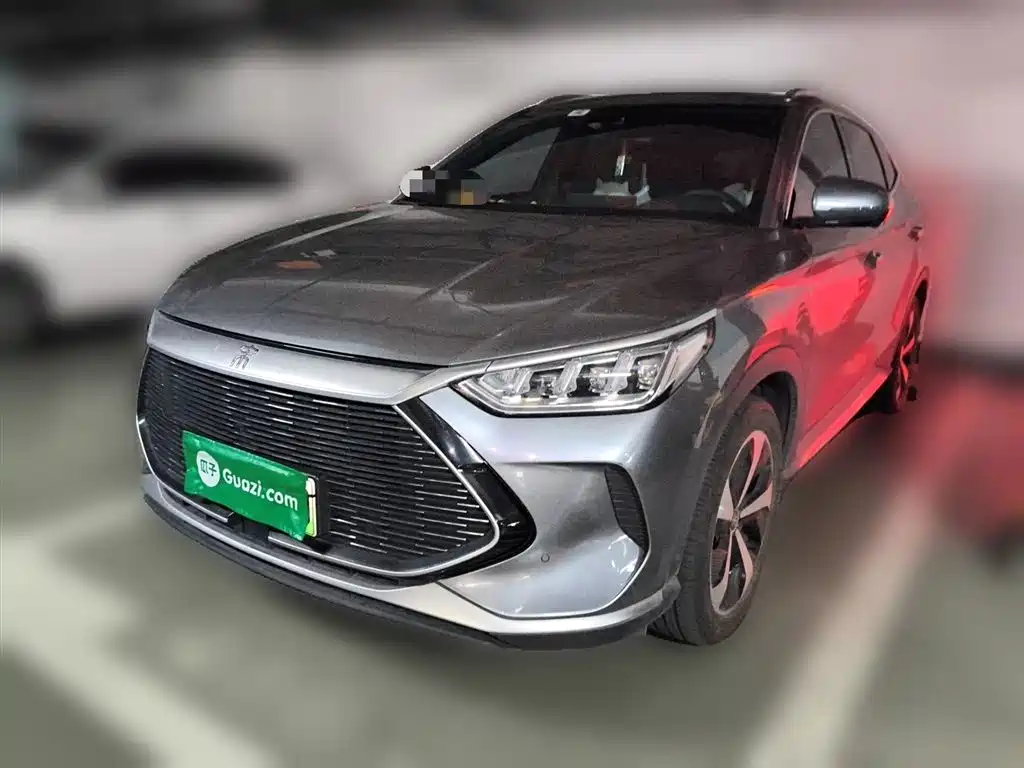 BYD PLUS New Energy 2022