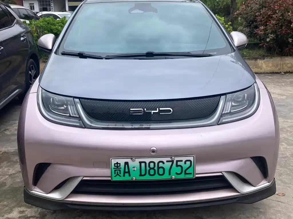 BYD Dolphin 2023