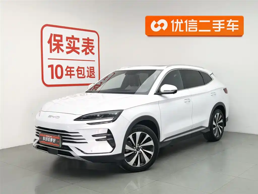BYD PLUS New Energy 2023
