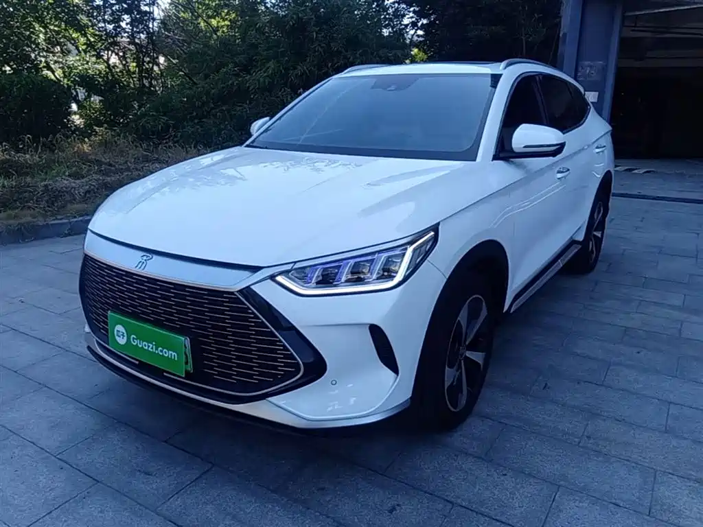 BYD PLUS New Energy 2022