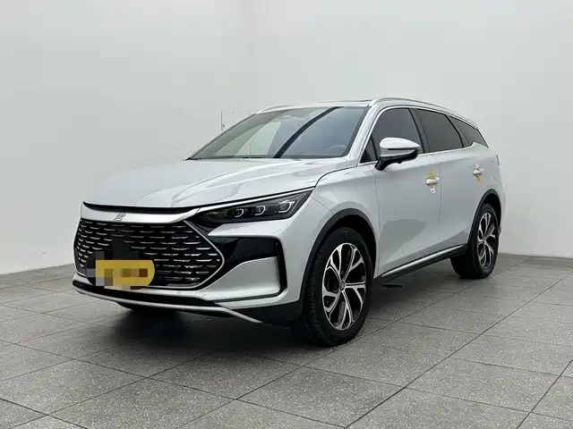BYD Tang New Energy 2024