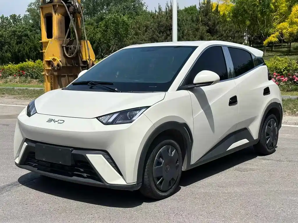 BYD Seagull 2024