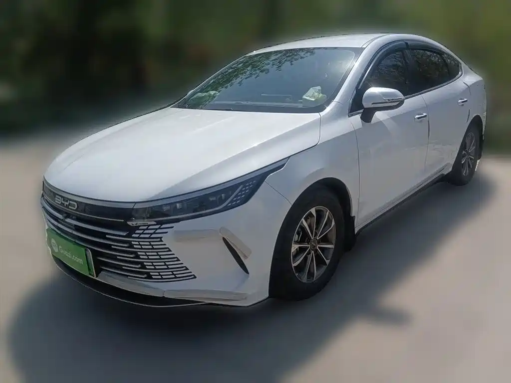 BYD Destroyer 05 2024