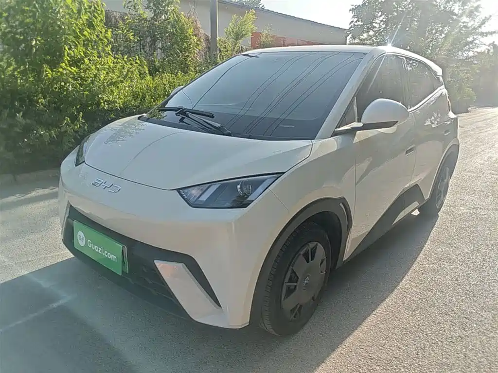 BYD Seagull 2024