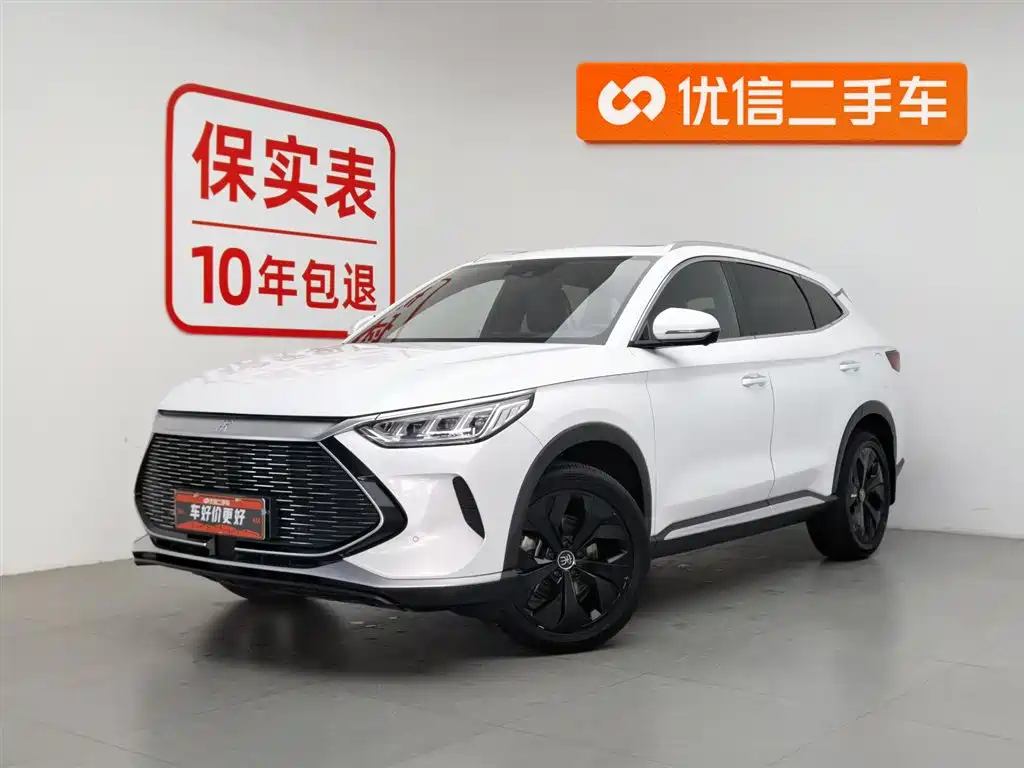 BYD PLUS New Energy 2021
