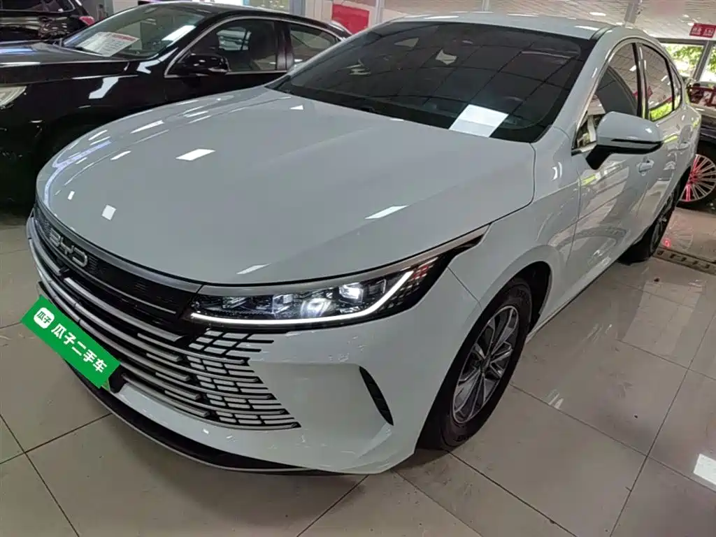 BYD Destroyer 05 2024