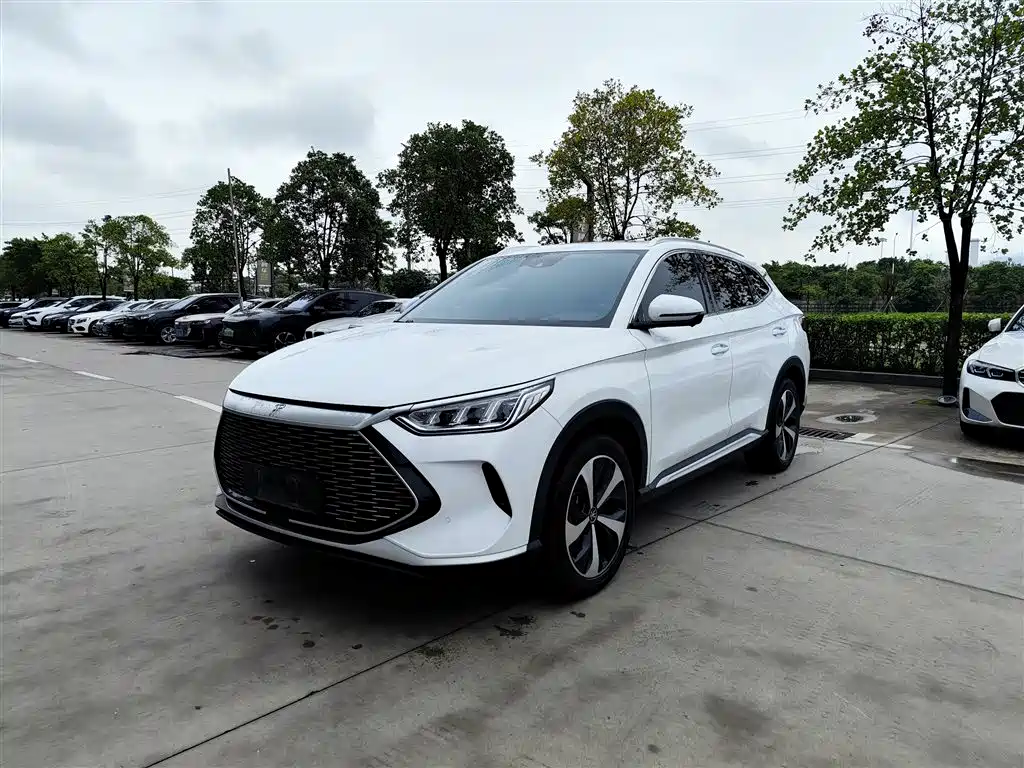 BYD PLUS New Energy 2022