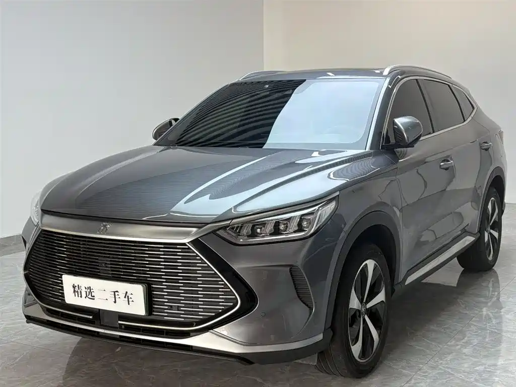 BYD PLUS New Energy 2022